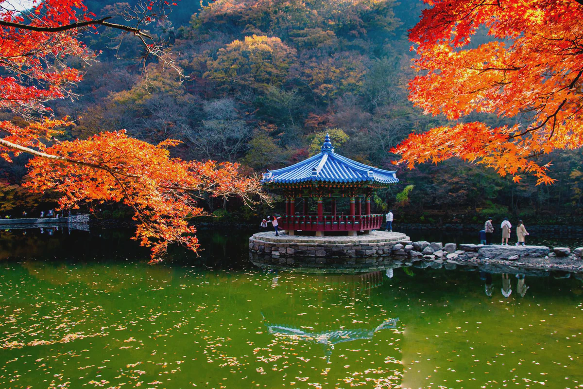 Il padiglione Uhwajeong al Naejangsan, aceri rossi protesi sullo stagno verde