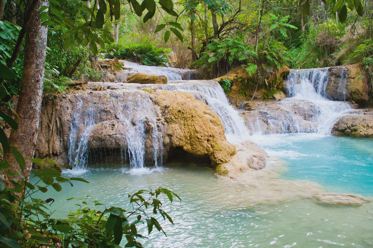 As piscinas turquesa de travertino das cachoeiras de Kuang Si na floresta
